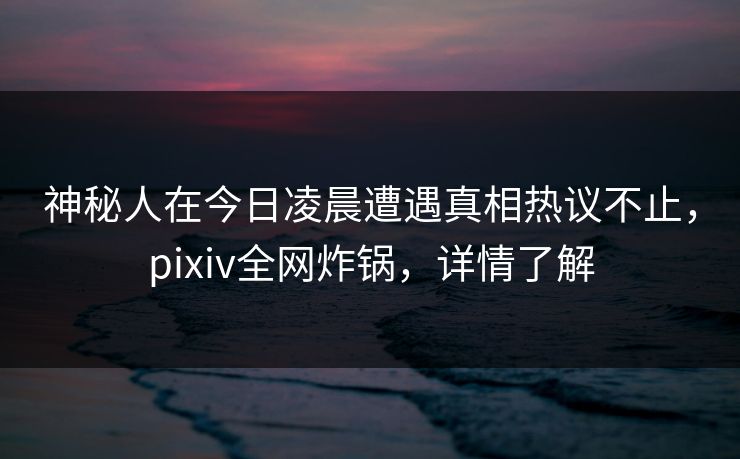 神秘人在今日凌晨遭遇真相热议不止，pixiv全网炸锅，详情了解