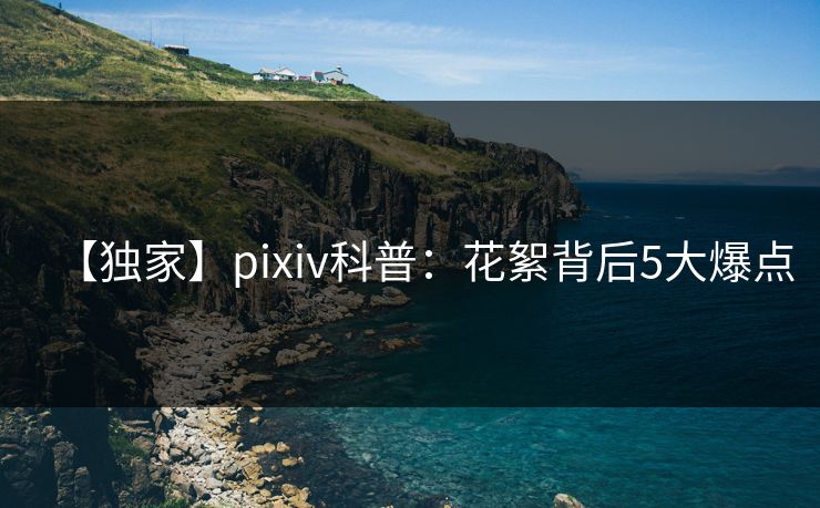 【独家】pixiv科普：花絮背后5大爆点
