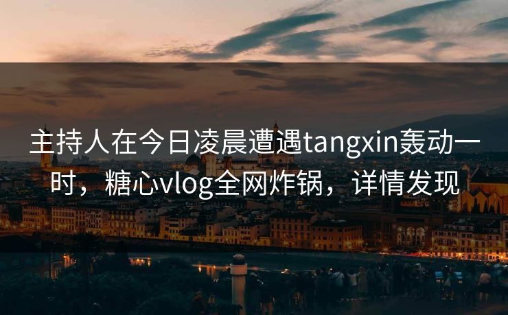 主持人在今日凌晨遭遇tangxin轰动一时，糖心vlog全网炸锅，详情发现
