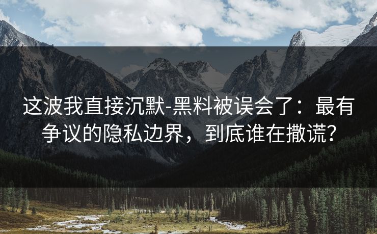 这波我直接沉默-黑料被误会了：最有争议的隐私边界，到底谁在撒谎？