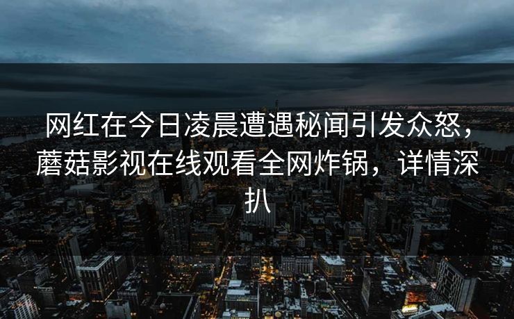 网红在今日凌晨遭遇秘闻引发众怒，蘑菇影视在线观看全网炸锅，详情深扒