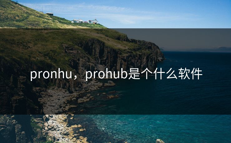 pronhu,prohub是个什么软件 pronhu,prohub是个什么软件