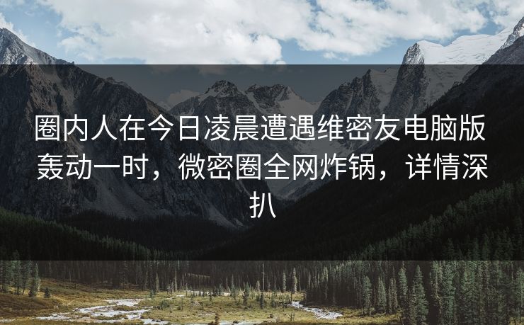 圈内人在今日凌晨遭遇维密友电脑版 轰动一时，微密圈全网炸锅，详情深扒