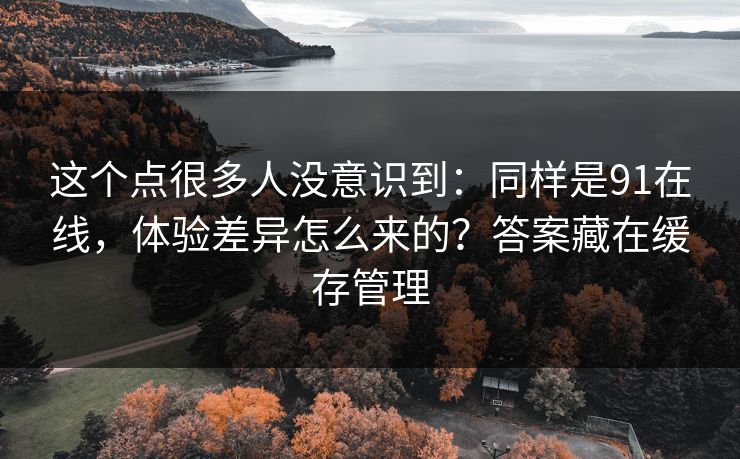 这个点很多人没意识到：同样是91在线，体验差异怎么来的？答案藏在缓存管理