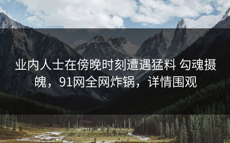 业内人士在傍晚时刻遭遇猛料 勾魂摄魄，91网全网炸锅，详情围观